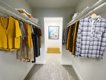 A walk in closet with white walls and a carpeted floor